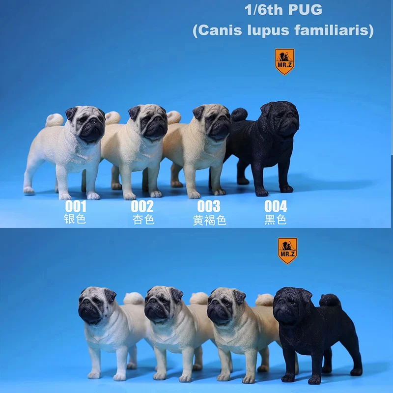 Pug Dog M.Z Simulation Animal Series 1//6th Pets Resin Canis lupus familiaris