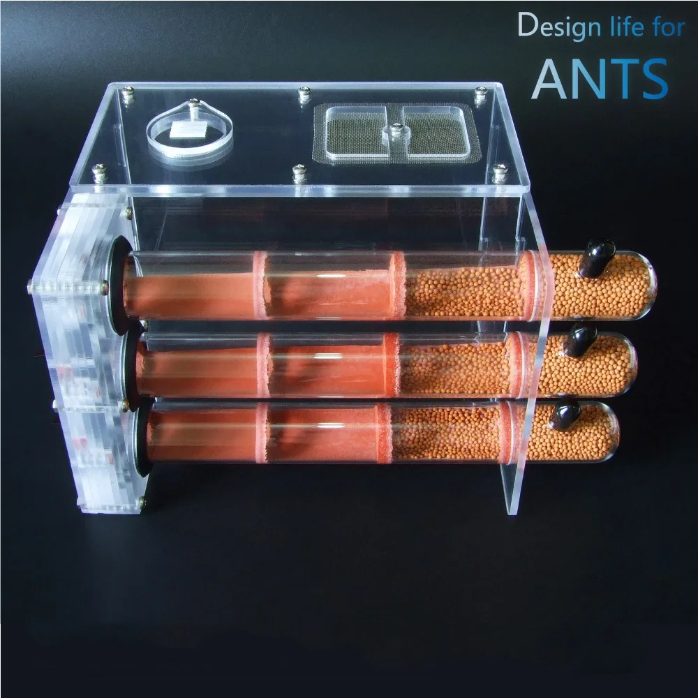 3pcs-bamboo-ant-nest (9)