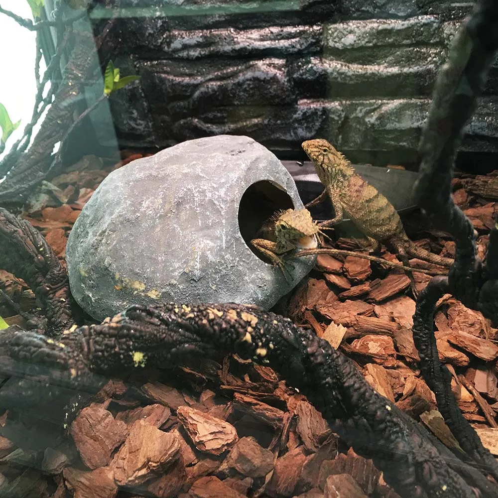 

Simulated Stone Shape Hiding Cave Habitat For Lizards Frogs Snakes Shrimp Spider And Other Reptiles Reptile Shelter