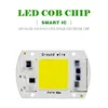 High Power LED Matrix For Projectors 15w 25w 35w 50w DIY Flood Light COB Smart IC Driver LED Diode Spotlight Outdoor Chip Lamp ► Photo 2/5