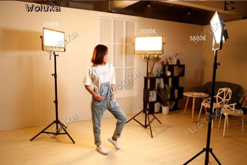 36020190115165648772