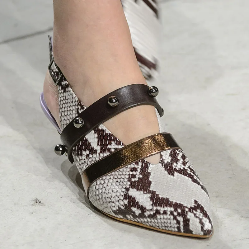 

Dipsloot The Latest Women Pointed Toe Snakeksin Dress Runway Shoes For Ladies Buckle Strap Low Round Heels Ankle Strap Sandals