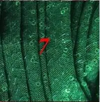 QQ20190319194356