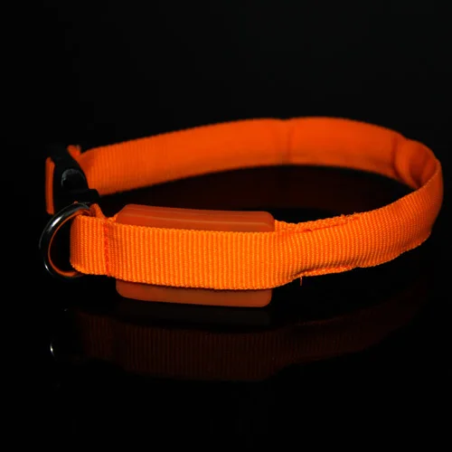 Высокое качество маленький Безопасный светодиодный светильник ошейник для собак нейлоновый мигающий поводок светящийся для собак 18-28 см - Цвет: Золотой