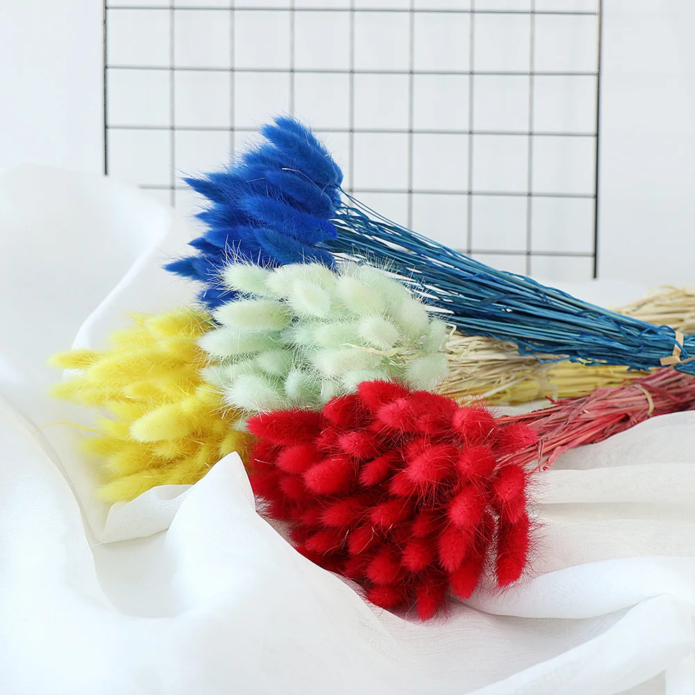 

50pcs Dried Natural Flower Bouquets Uraria Picta&Rabbit Tail Grass Bouquets&Colorful Lagurus Ovatus Bouquets Bunches Shooting