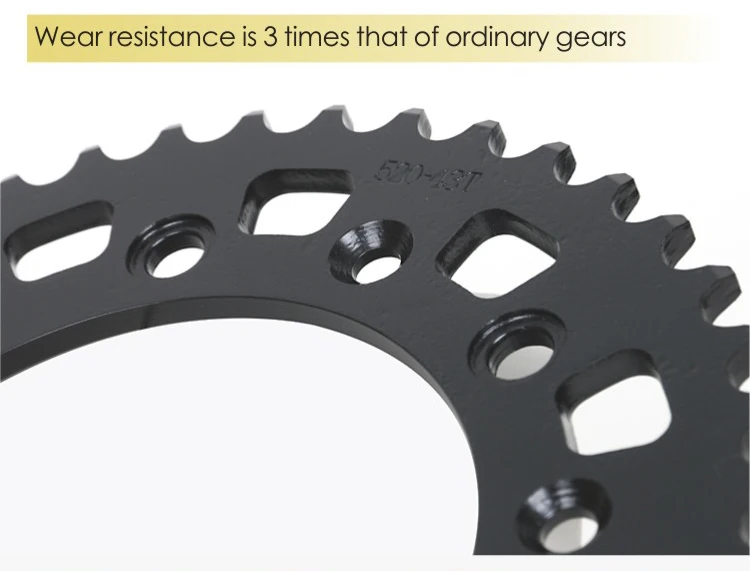 chain and sprocket-XR400-520  (11)