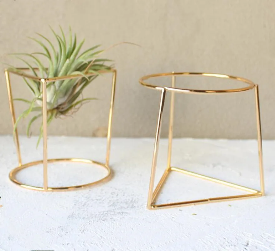

Pack of 2 Tabletop Air Plant Stands Air Plant Tillandsia Holders