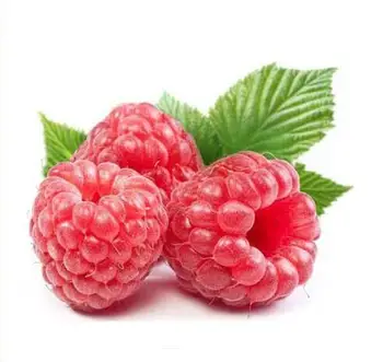 

1kg Natural raspberry oil free shipping