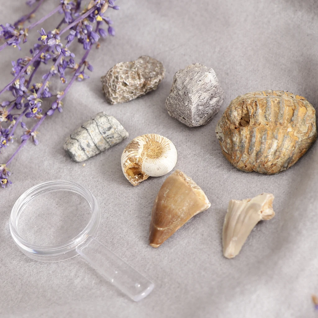 Rock & Mineral Collection PK664 Real Specimens Geology Science Kit Earth Science Toy - Pack of 7