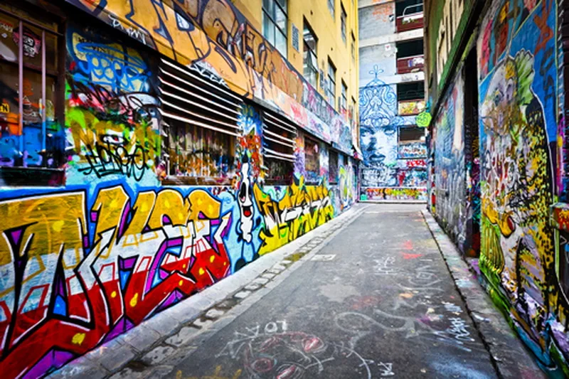 

300x200cm Cotton Polyester photography background D-7941