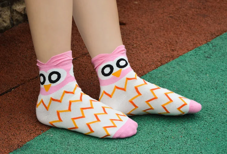 2369003116_520631427