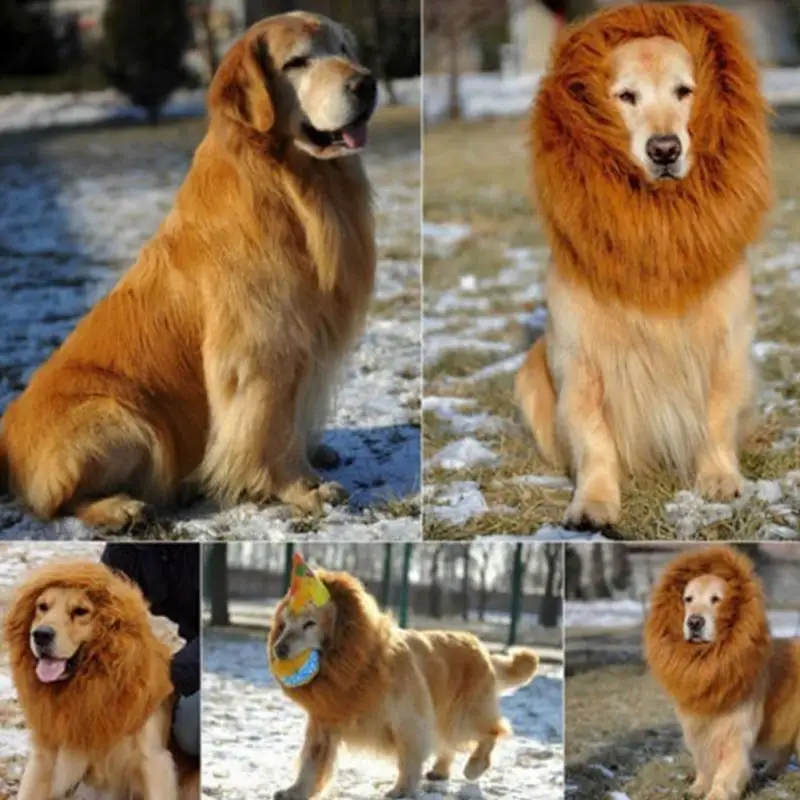 Pet Костюм Собака Lion парики Мане Фестиваль Волос вечернее изящное платье на
