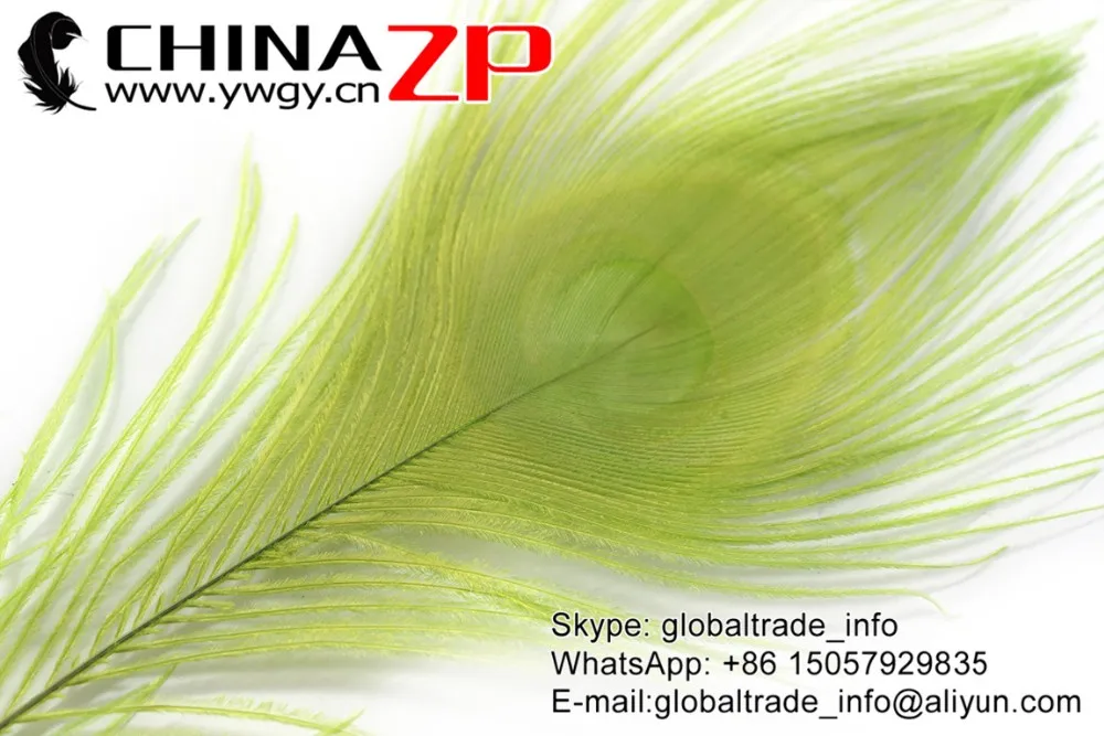 Lime Green Peacock Feathers (7)