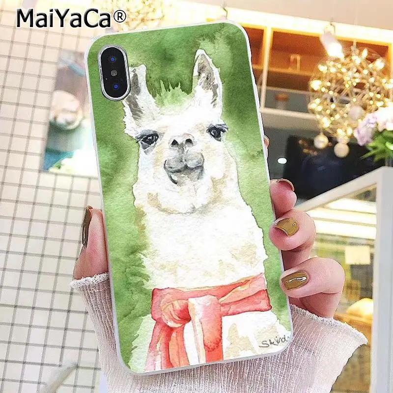 Lama Llama Alpacas Animal