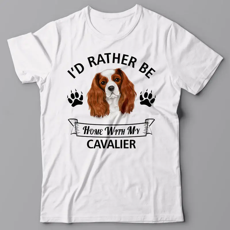 Pria Cavalier King Charles Spaniel Kaus 