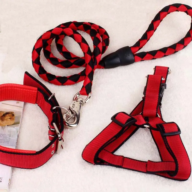 3381963582_621829584