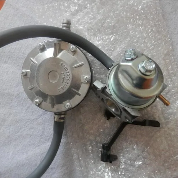LPG GAS CONVERSION KIT CLASSIC HONDA GX160 GX200 168F 2500 3KW GENERATOR 8