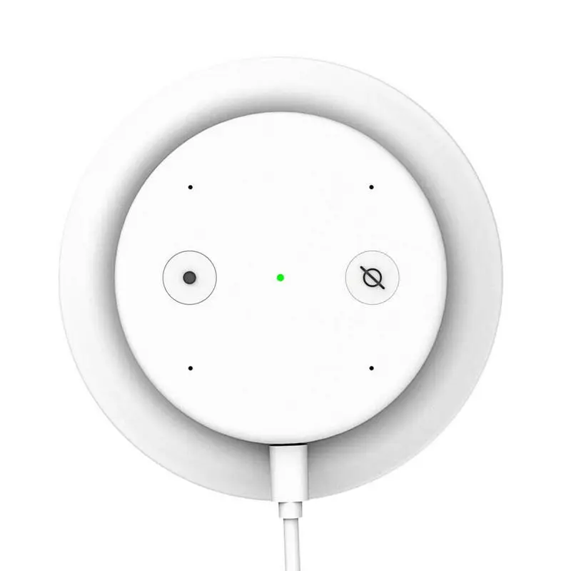 google echo input
