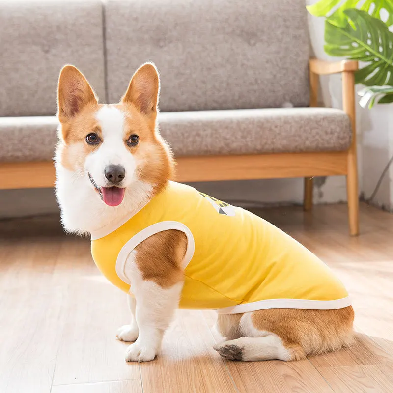 дождевик для корги пемброк. дождевик для корги. одежда для корги пемброк. новогодний костюм для корги. комбинезон-дождевик "корги", 49см.