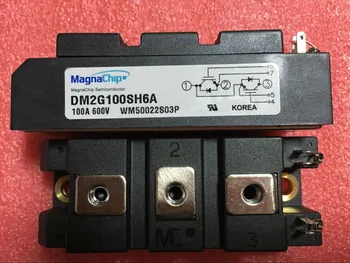 

DM2G100SH6A
