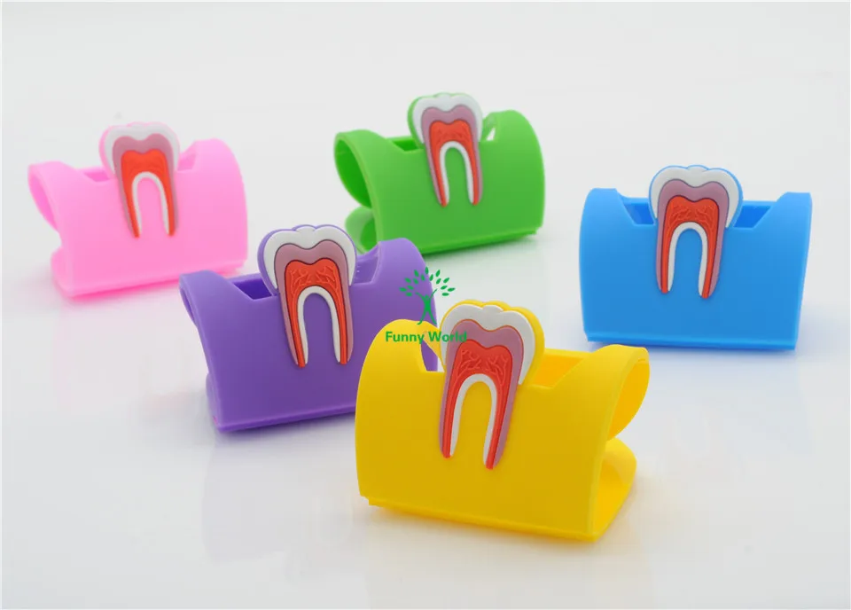Molar em Forma de Borracha Titular do Cartão de Nome Expositor para Laboratório Dental Case Titular 5