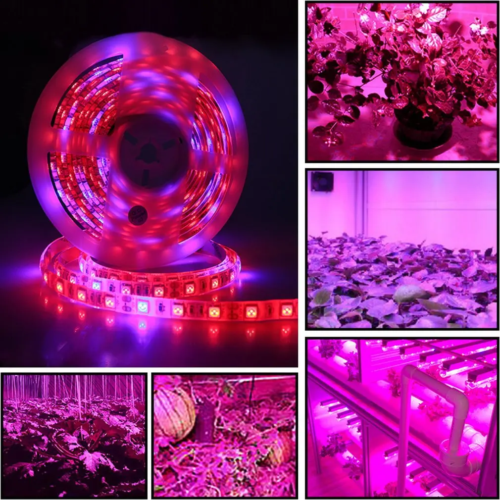 Светодиодный свет роста растений Dc12v роста свет растение в горшке свет роста с адаптером и переключатель светодиодные рост комплект