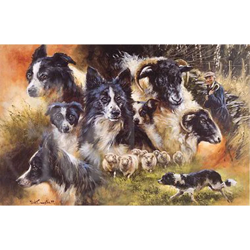 Border collie diamond painting Diamond Embroidery dog Full picture of Rhinestone Mosaic Cross Stitch home decor GH571 | Дом и сад