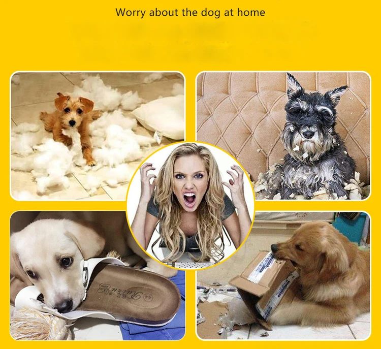 4223313472_181355791