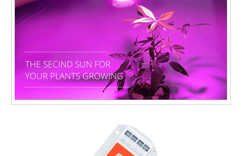 led phyto lamp + lens reflector (2)