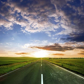 

Outdoor Scenery Highway Photography Backdrop Blue Sky Thick Clouds Trees Wedding Photo Studio Backgrounds Green Grassland