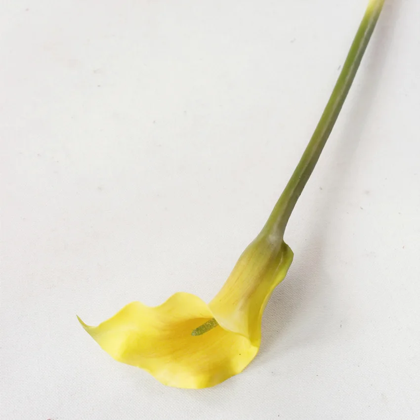 3773044467_773204859