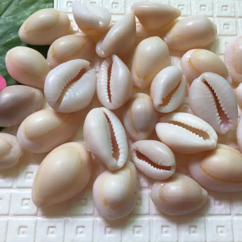 50 шт./компл. милые Natural Sea Shell Loose Beads аксесуары 14-16 мм раковины орнамент в форме ракушки декора аквариума