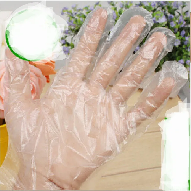 Household Gloves Household Cleaning Tools & Accessories Home & Garden Disposable ultra thin PE gloves quality whole sale hot   