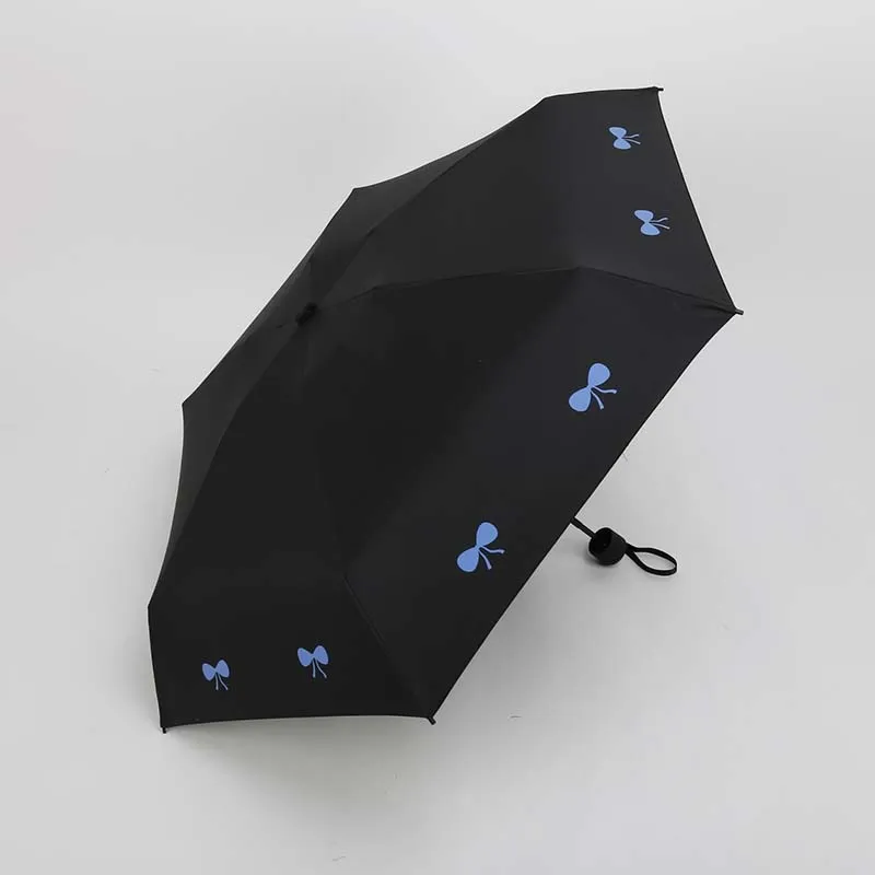 4040502244_2036897868