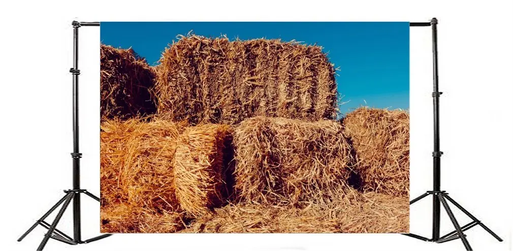

Photography Backdrop Hay Bales in Village Harvest Landscape