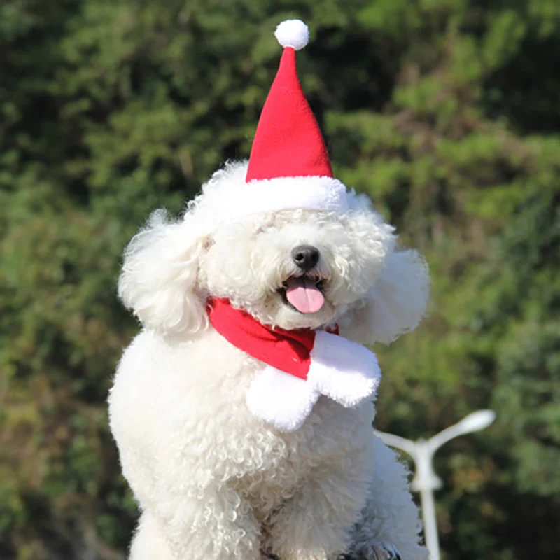 Christmas-Accessories-For-Dogs-Hat-Scarf-Suit-Cat-Xmas-Costume-New-Year-Decorations-Cap-Pet-Products (1)