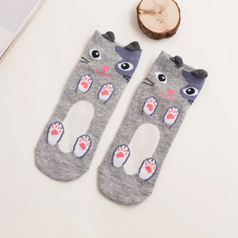 8392895578_368307467