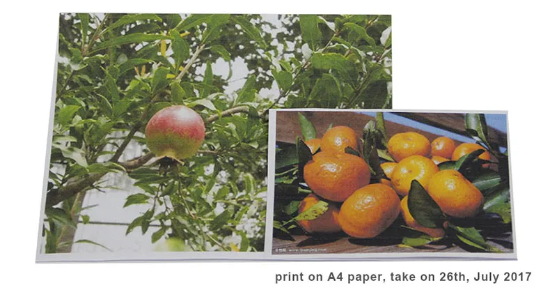 Hp Deskjet 1110 2130 2132 2133 2134 3630 3632 3637