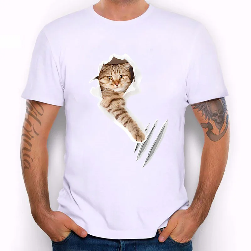 cat-13