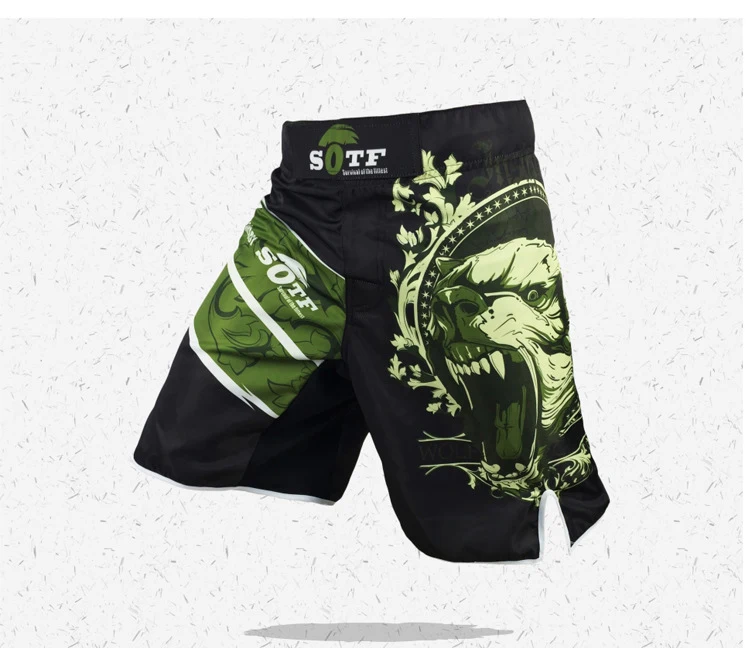 New Green Bear Fitness Breathable Mma Fighting Workout Shorts Tiger Muay Thai Boxing Shorts Kickboxing Shorts Pretorian Yokkao New Green Bear Fitness Breathable Mma Fighting Workout Shorts Tiger Muay Thai Boxing Shorts Kickboxing Shorts Pretorian Yokkao