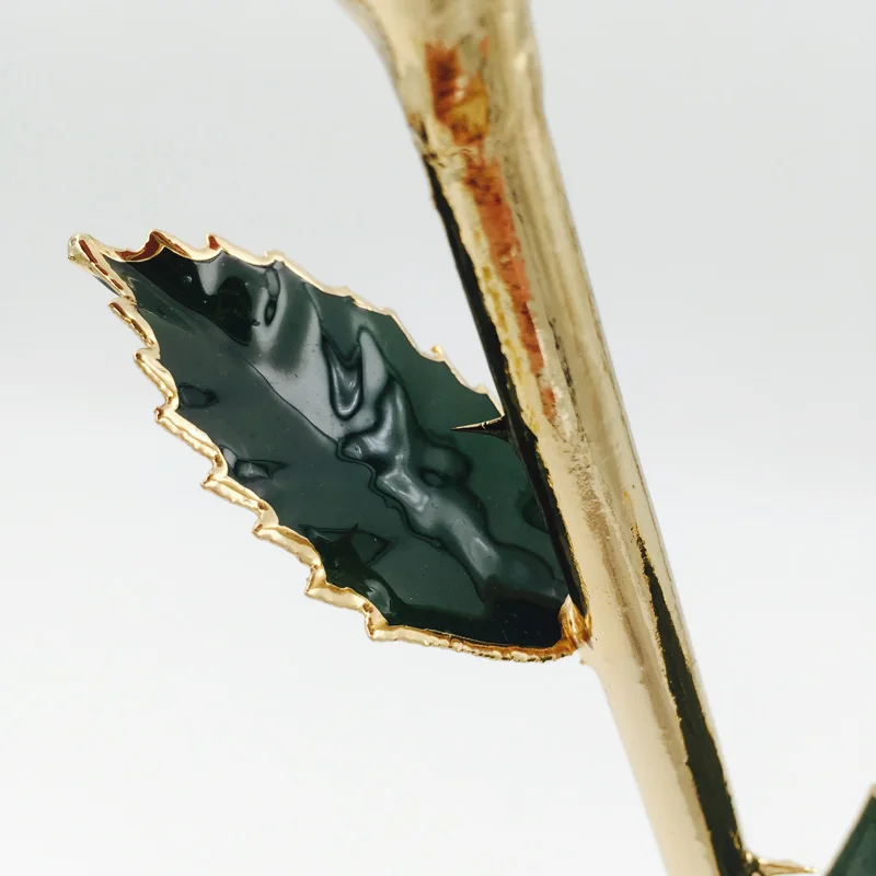 G006-1 10