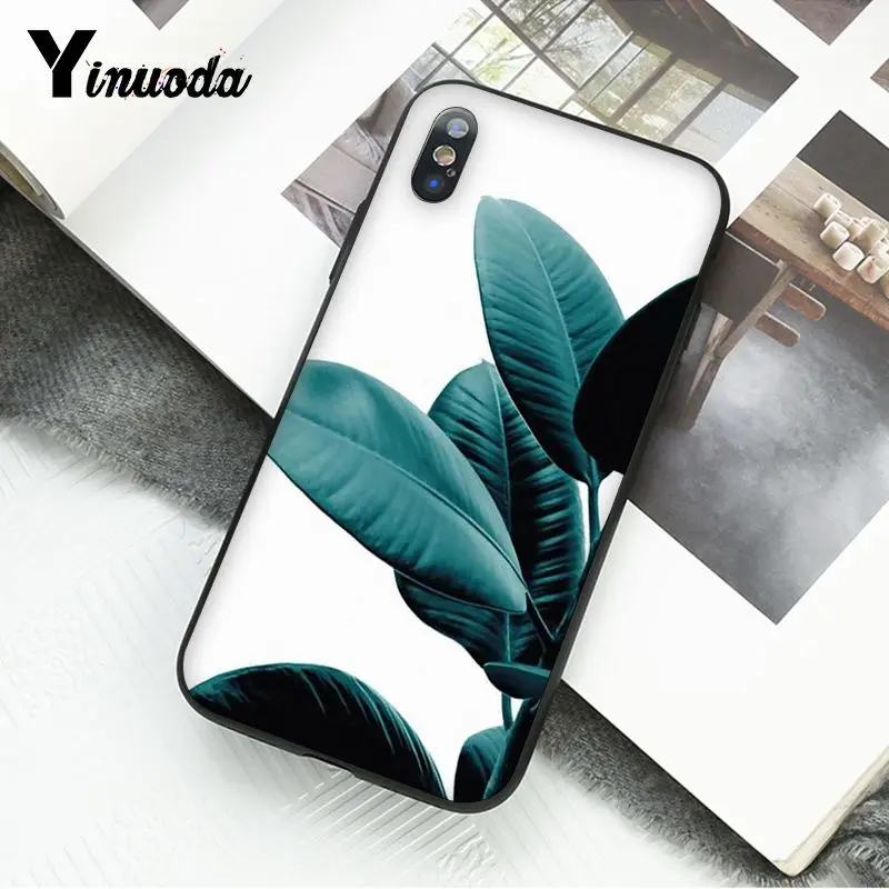 Summer Palm Leaf Banana Leaf Flowers Plants