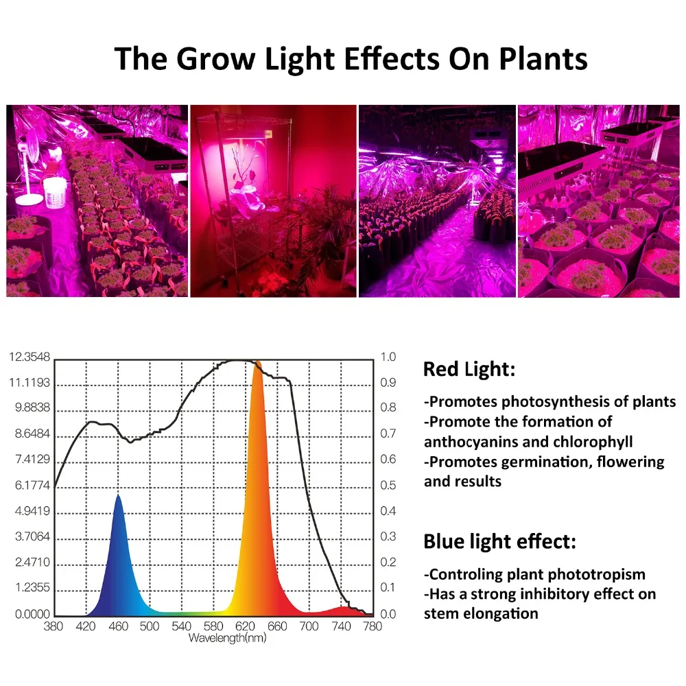 Phlizon 2000 W полный ассортимент растение, светодиодные огни растут Крытый растущих люминесцентная лампа роста растений led лучшие продажи