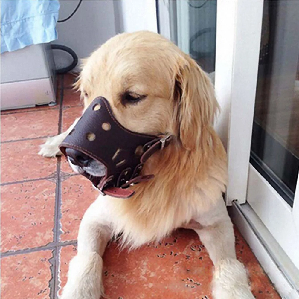 Adjustable Leather Dog Muzzle Anti Bark Bite Chew Training Pet Products|Сопла| |