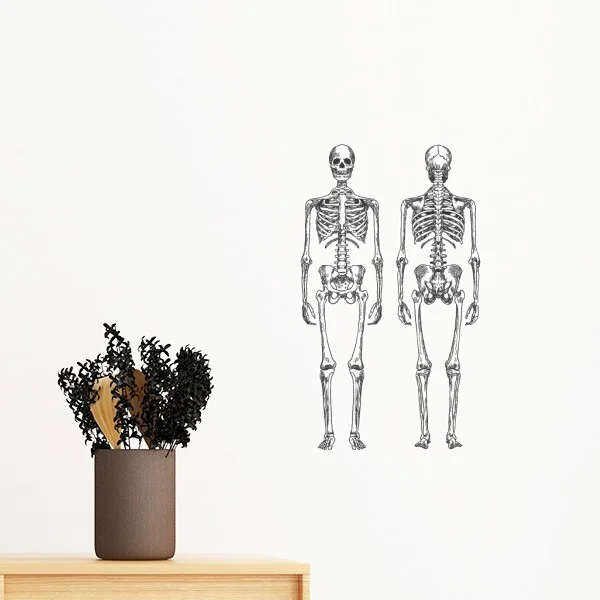 Bone people. Стенд из костей.