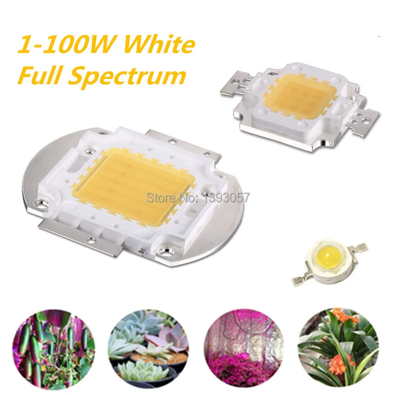 1-100W white full spectrum