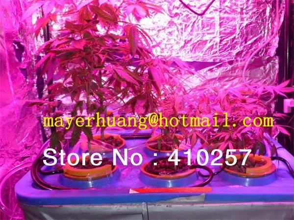 PRAKASA UFO 150 W Led grow light, встроенный с 50*3 W светодиодами для гидропоники освещения, дропшиппинг