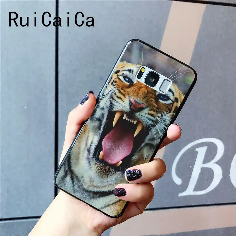 tiger fashion