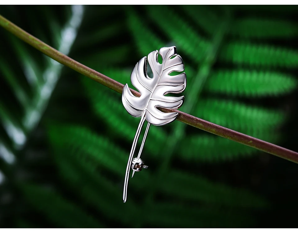 LFJK0042-Monstera-Leaves_11