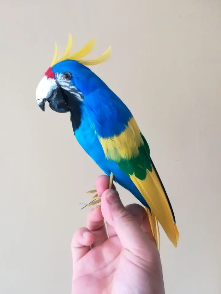 simulation parrot bird plastic&colourful blue feathers parrot large